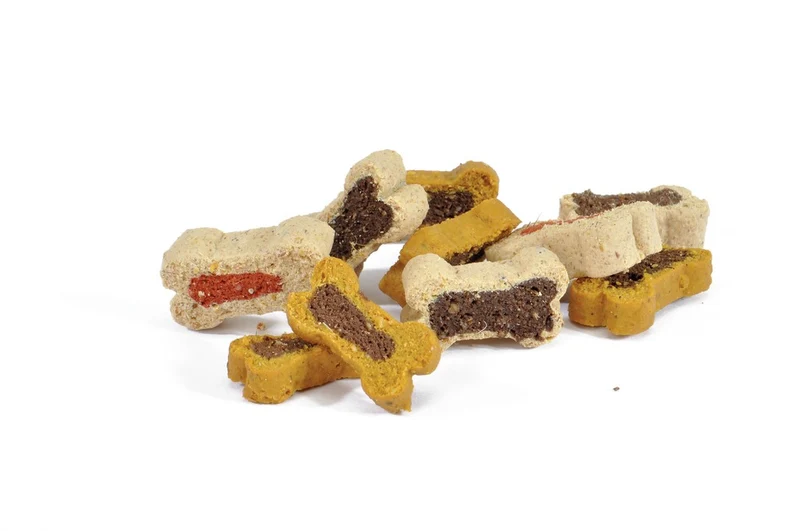 Camon Mini Bones al Salmone 140g Snack per Cani