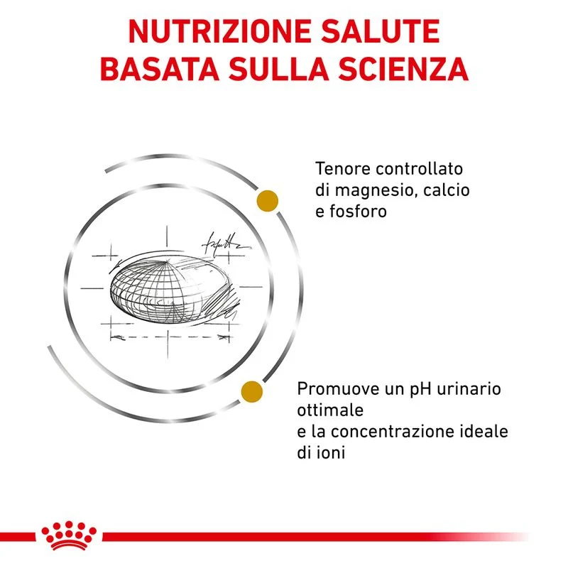 Royal Canin Urinary S/O 3,5kg - Crocchette per Gatti