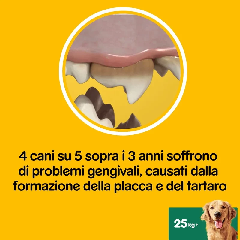 Pedigree Dentastix Fresh Large 21pz – Cani di Taglia oltre 25kg