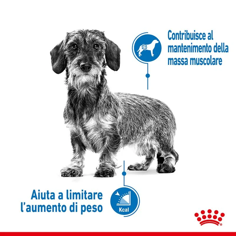 12x85g Royal Canin Light Weight Care