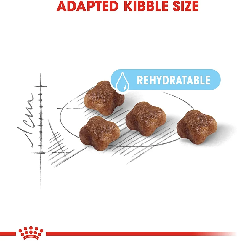 Royal Canin Mother&Babycat 2kg - Crocchette per Gatti