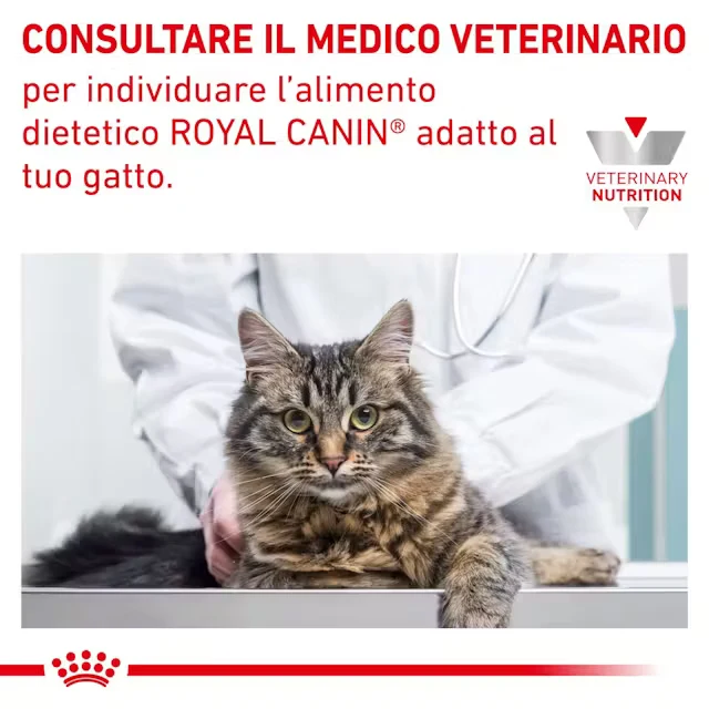 12x85 g Royal Canin Sensitivity Control Gatto Alimento Umido Dietetico