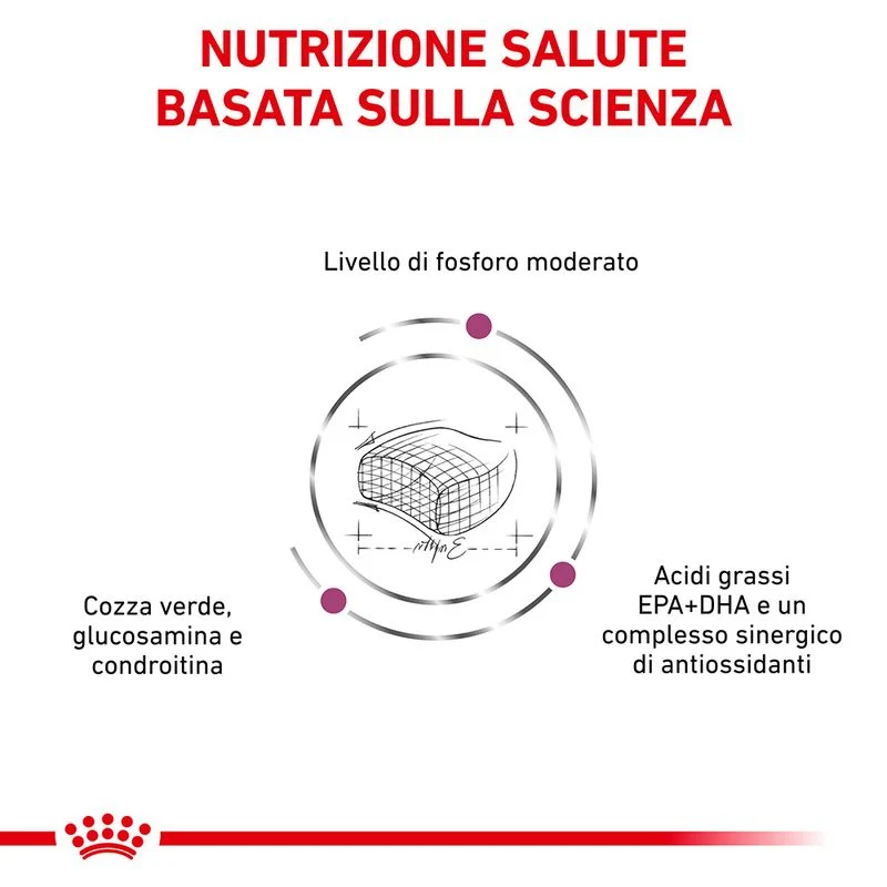 Royal Canin Early Renal Veterinary 1,5kg - Crocchette per Gatti