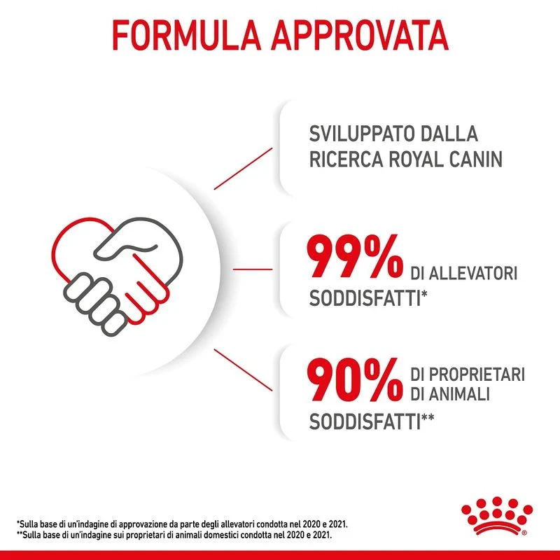 Royal Canin Kitten 10kg - Crocchette per Gatti