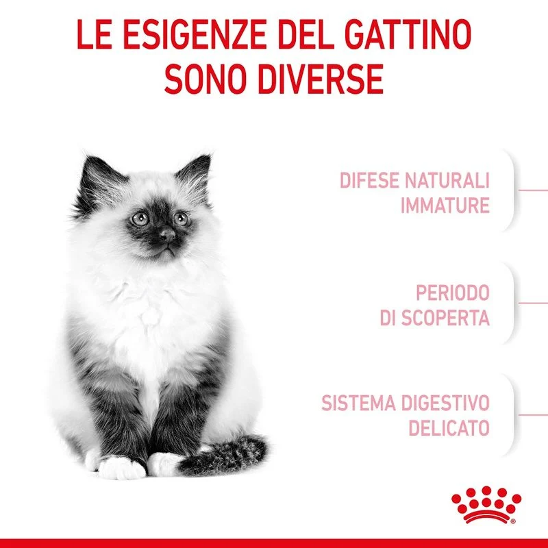 Royal Canin Kitten 10kg - Crocchette per Gatti