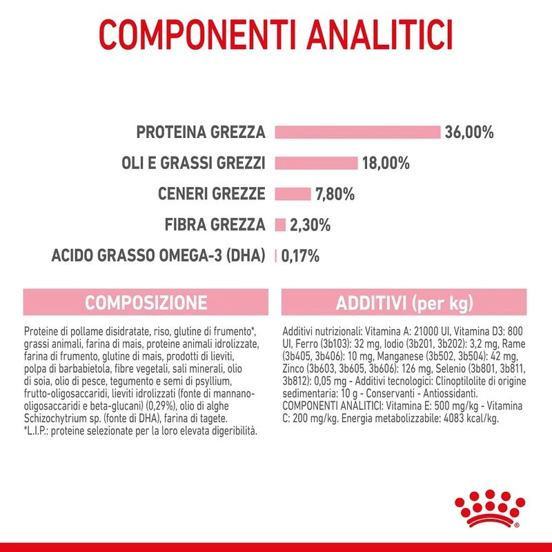 Royal Canin Kitten 10kg - Crocchette per Gatti