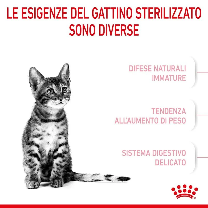 Royal Canin Kitten Sterilised 3,5kg - Crocchette per Gatti