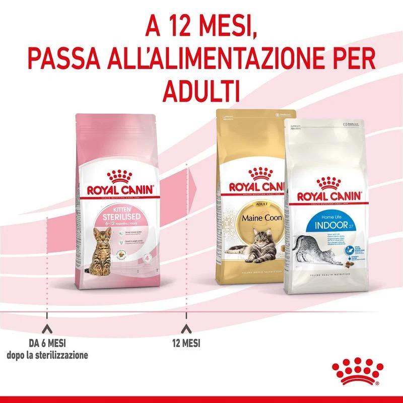 Royal Canin Kitten Sterilised 3,5kg - Crocchette per Gatti