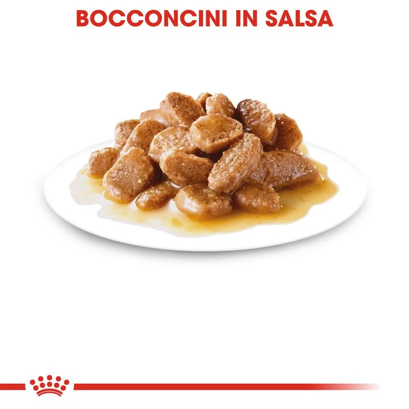 24x85g Royal Canin Mini Adult in Salsa - Cibo Umido per Cani
