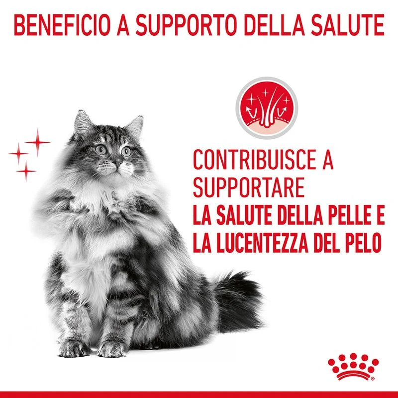 Royal Canin Hair&Skin Care 2kg Crocchette per Gatti
