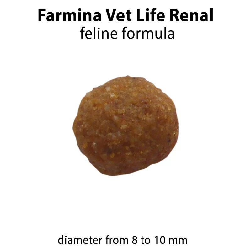 Farmina Vet Life Renal 2kg