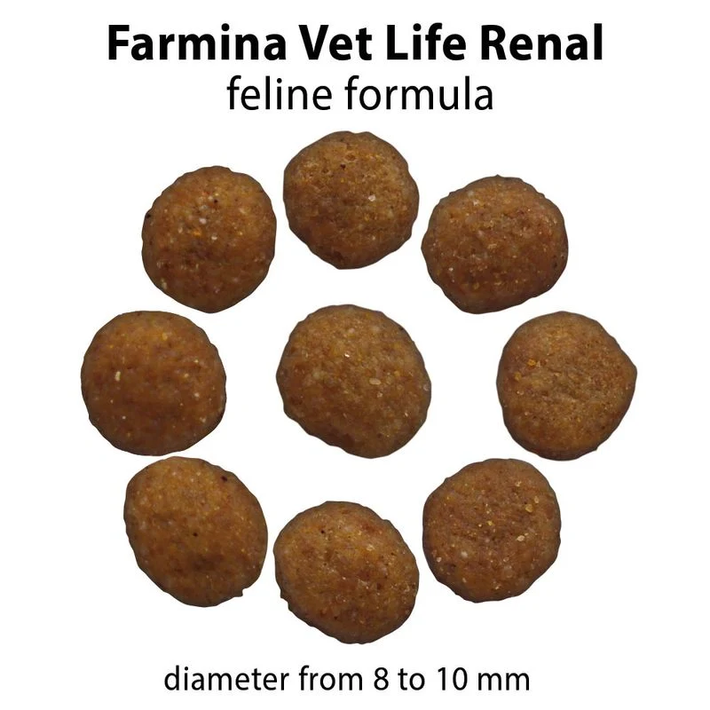 Farmina Vet Life Renal 2kg