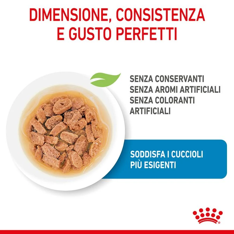 12x85g Royal Canin Mini Puppy - Cibo Umido per Cani Cuccioli