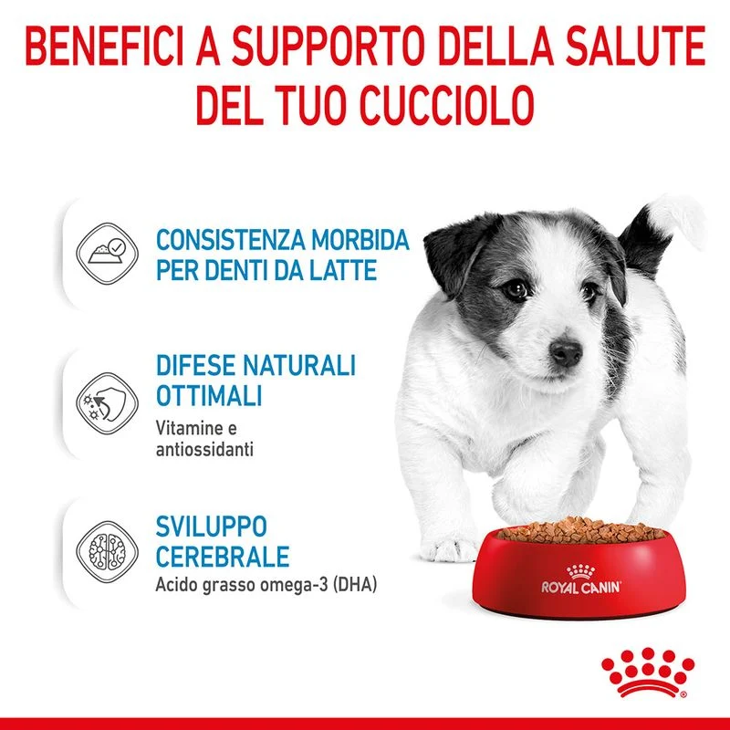 12x85g Royal Canin Mini Puppy - Cibo Umido per Cani Cuccioli
