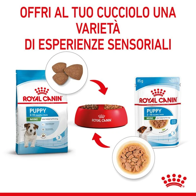 12x85g Royal Canin Mini Puppy - Cibo Umido per Cani Cuccioli