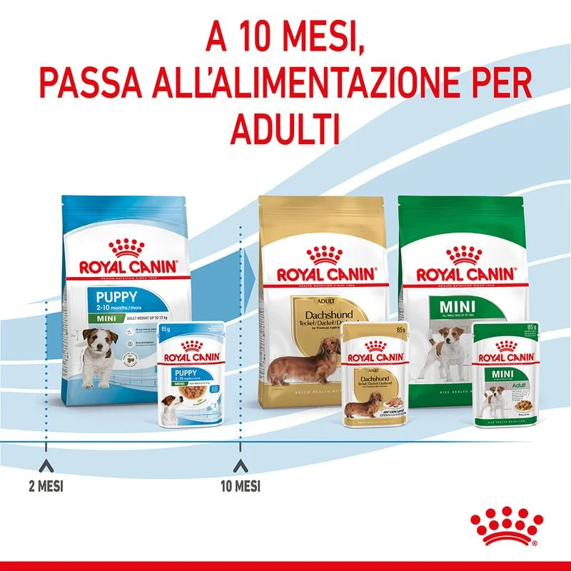 12x85g Royal Canin Mini Puppy - Cibo Umido per Cani Cuccioli