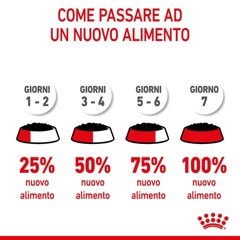 12x85g Royal Canin Mini Puppy - Cibo Umido per Cani Cuccioli