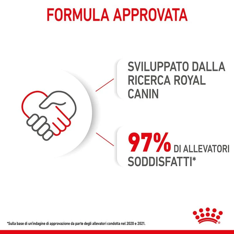 12x85g Royal Canin Mini Puppy - Cibo Umido per Cani Cuccioli