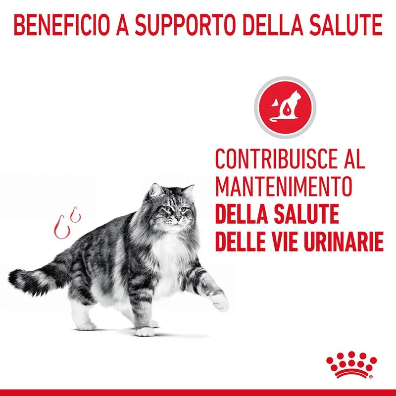Royal Canin Urinary Care 10kg - Crocchette per Gatto