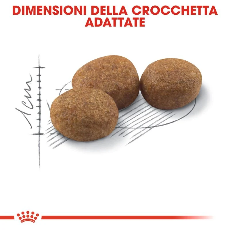 Royal Canin Sterilised 37 4kg - Crocchette per Gatti