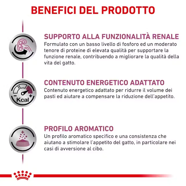 12x85g Royal Canin Renal Pesce - Umido Gatto