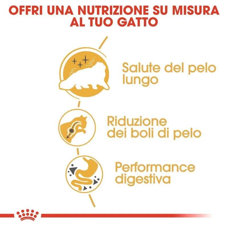 Royal Canin Persian Adult 10kg - Crocchette per Gatti