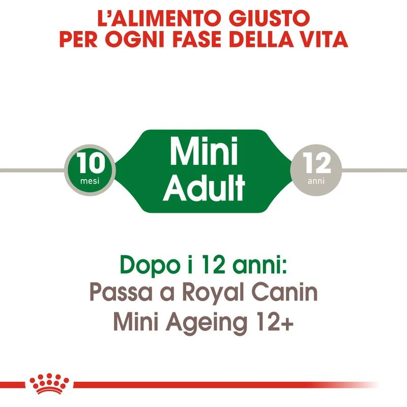12x85g Royal Canin Mini Adult Bocconcini in Salsa - Umido Cane Taglia Piccola