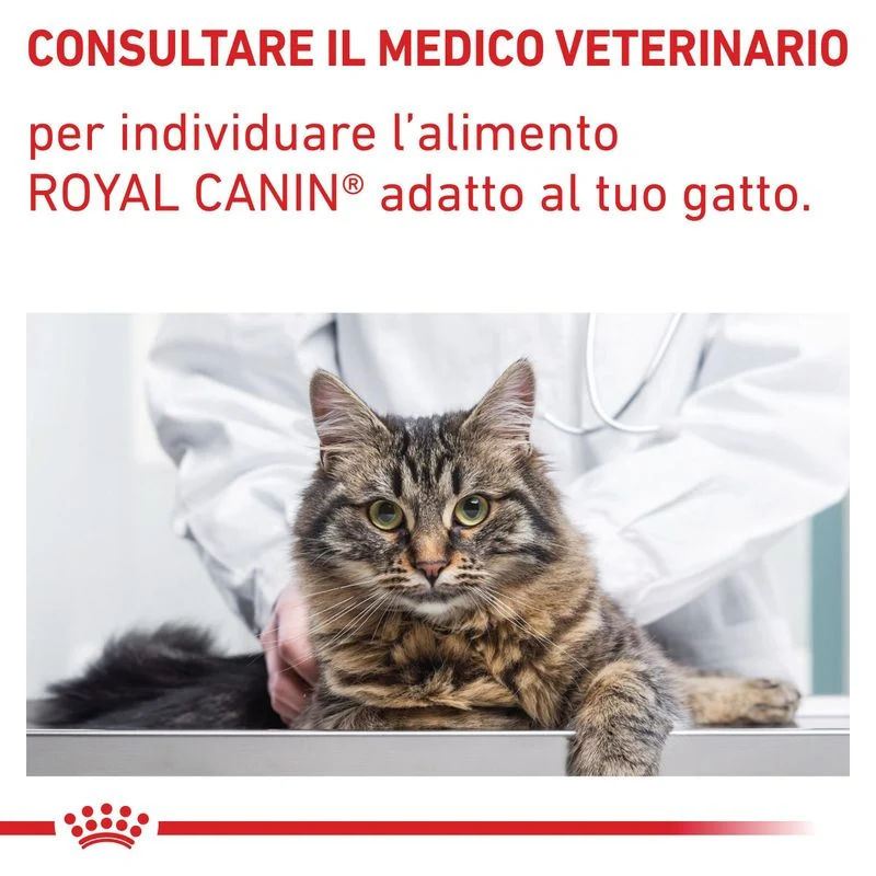 Royal Canin Expert Calm Cat 2 kg