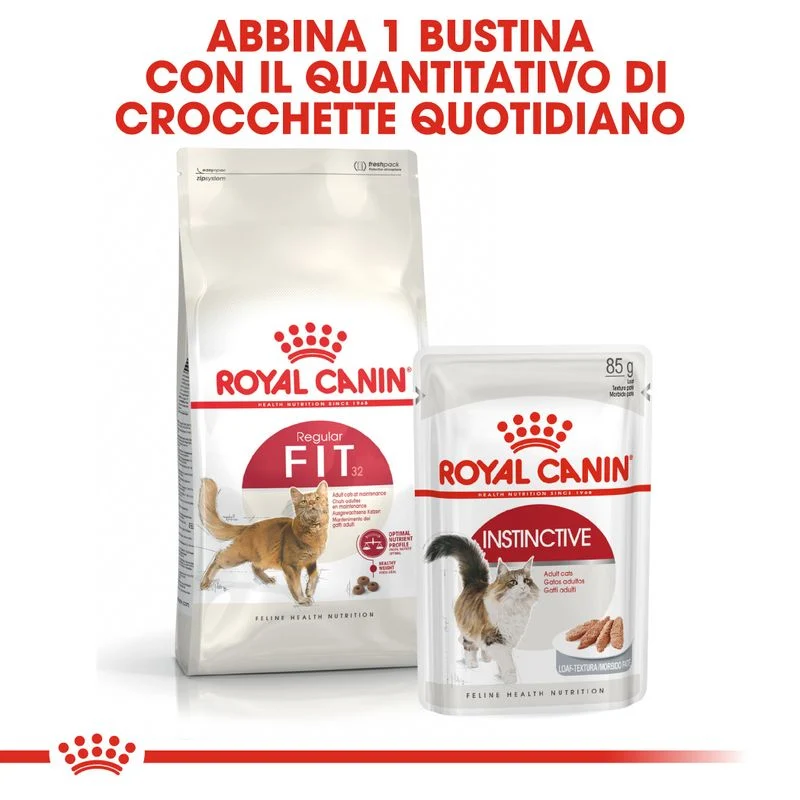 Royal Canin Regular Fit32 10kg