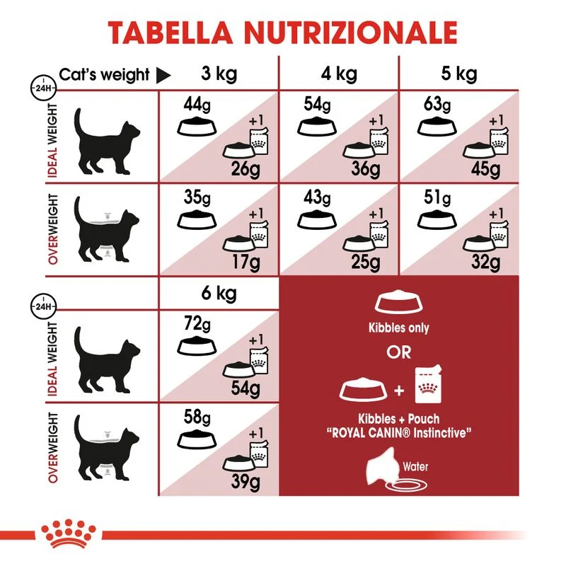 Royal Canin Regular Fit32 10kg