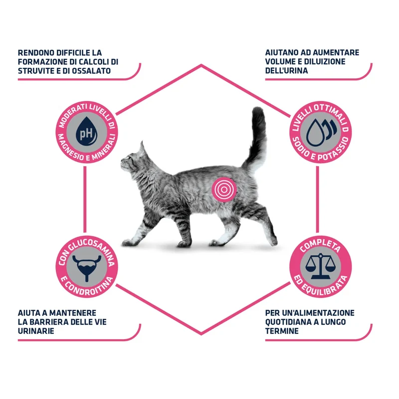 Advance Veterinary Diets Urinary 3kg - Crocchette per Gatti