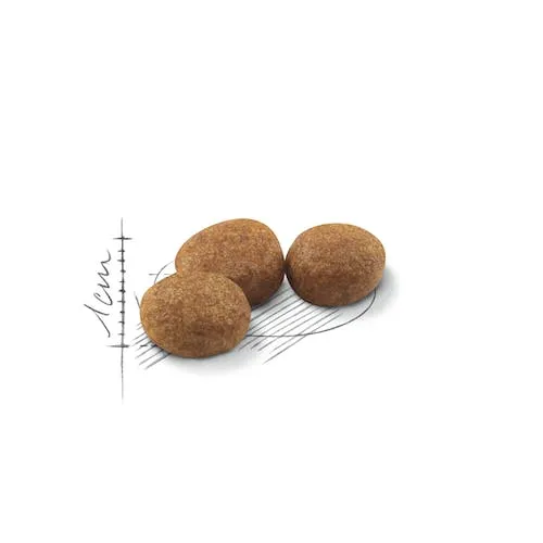 Royal Canin Regular Sterilised 37 2kg - Crocchette per Gatti