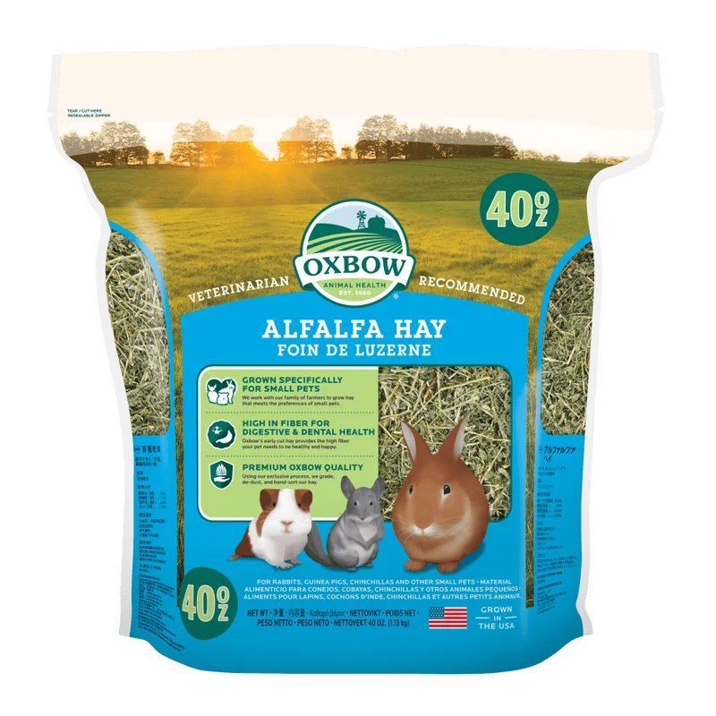 Oxbow Alfalfa Fieno Conigli e Roditori 1,13kg