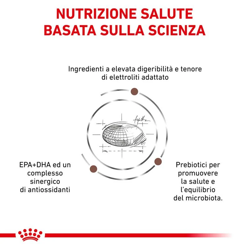 Royal Canin Gastrointestinal Moderate Calorie 2kg - Crocchette Gatto