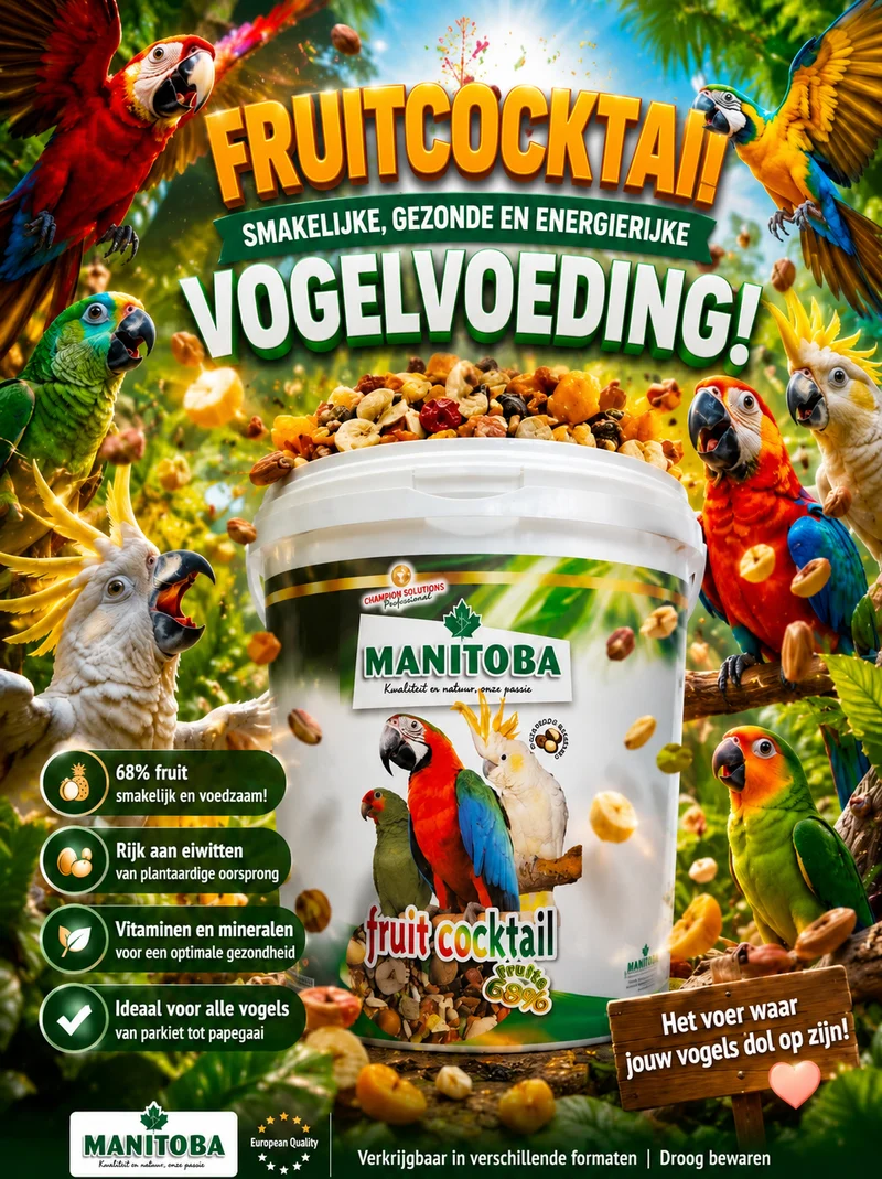 Manitoba Cocktail (mix di frutta con noci) 4 kg
