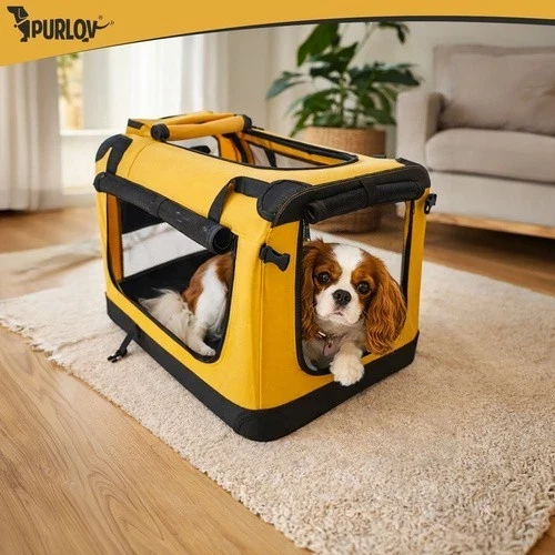 Trasportino per cani e gatti pieghevole, borsa per il trasporto, box per auto