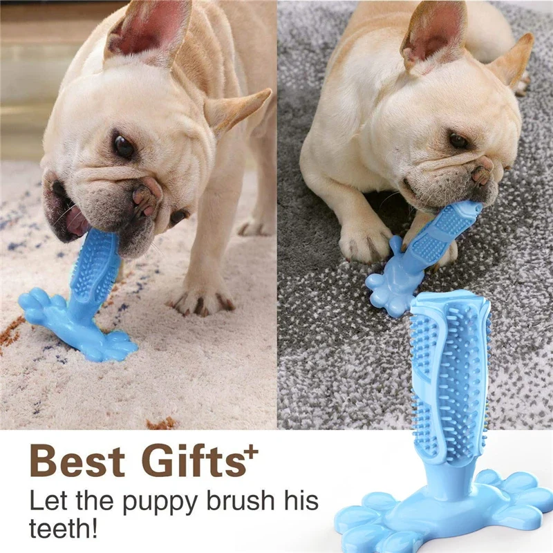 Dog Cactus Interactive Rubber Chew Toys For Small Large Dogs Tooth Cleaning Toothbrush For Small Large Dogs Treat Dispenser Pet