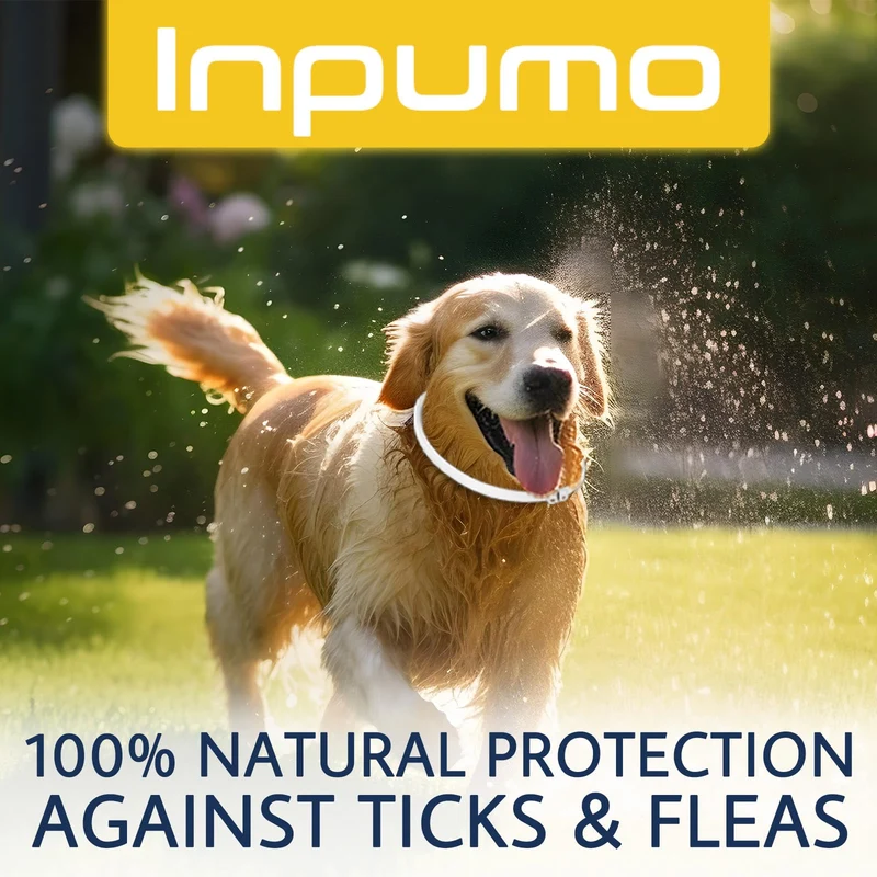 Collare Antiparassitario per Cani, 12 Mesi Protezione Regolabile Collare Antipulci Cane, Collare Antipulci per Cani con Oli Essenziali 100% Naturali Regolabile per Tutte le Taglie