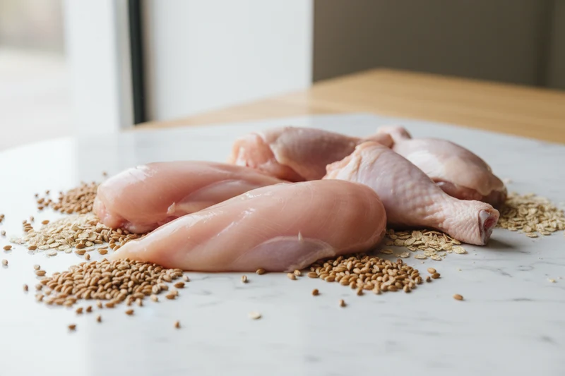 Monge Natural Superpremium Sterilised Ricco in Pollo 10kg