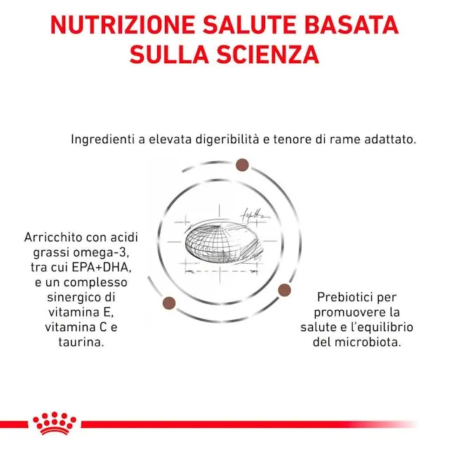 Royal Canin Veterinary Hepatic Gatti Adulti 2kg