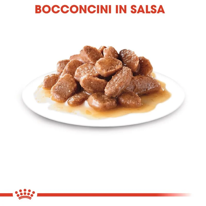 12x85g Royal Canin Sterilised in Salsa - Cibo Umido per Gatti