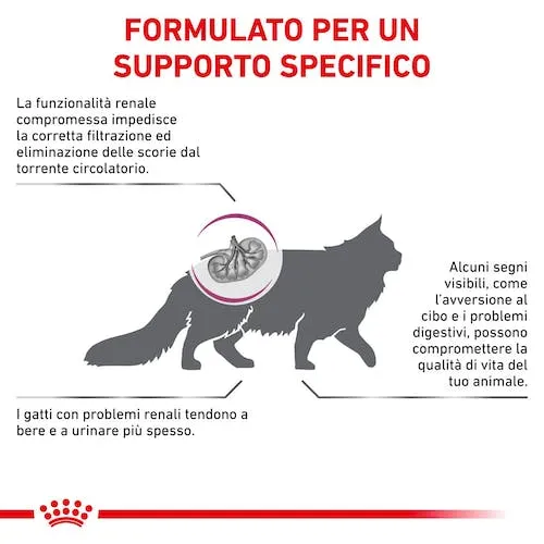 Royal Canin Renal Special 2kg - Crocchette per Gatti