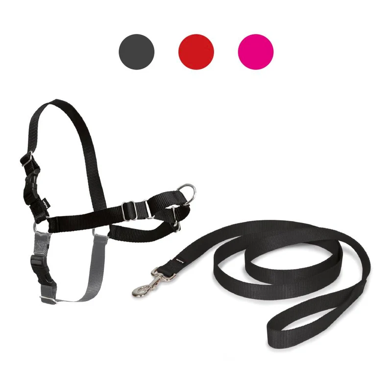 Pettorina per Cani Easy Walk - XL, Nero