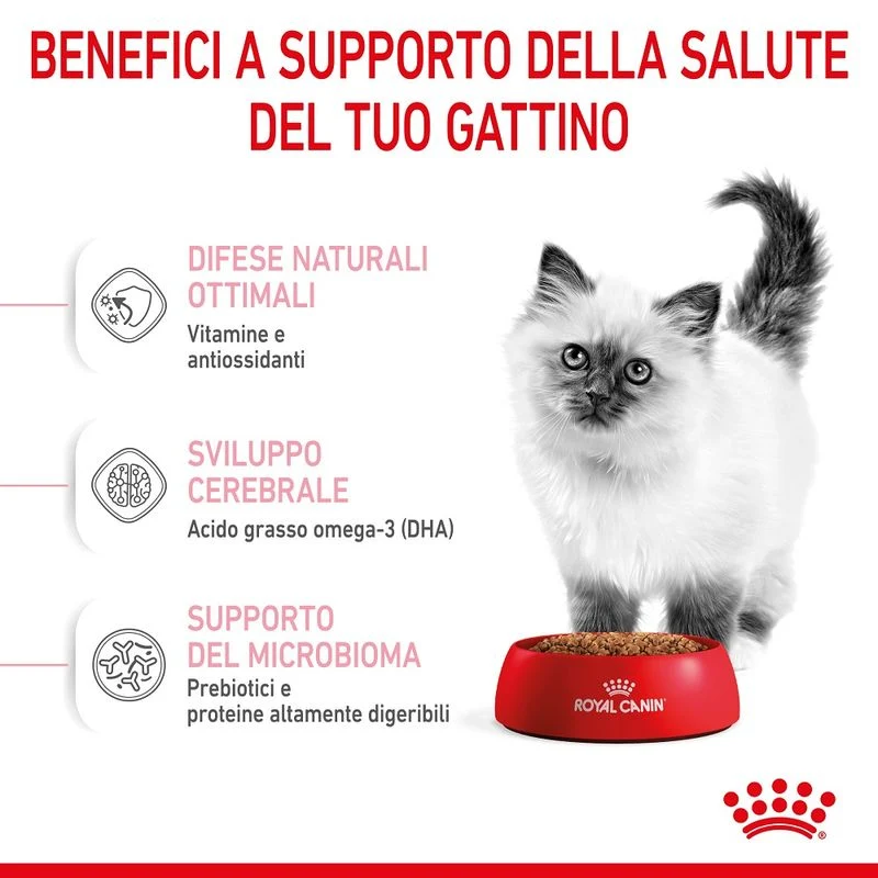 Royal Canin Kitten 2kg - Crocchette per Gatti