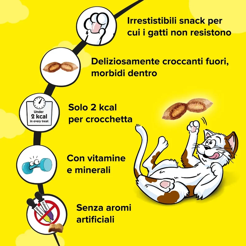 Catisfactions Mix con Pollo e Anatra 60g