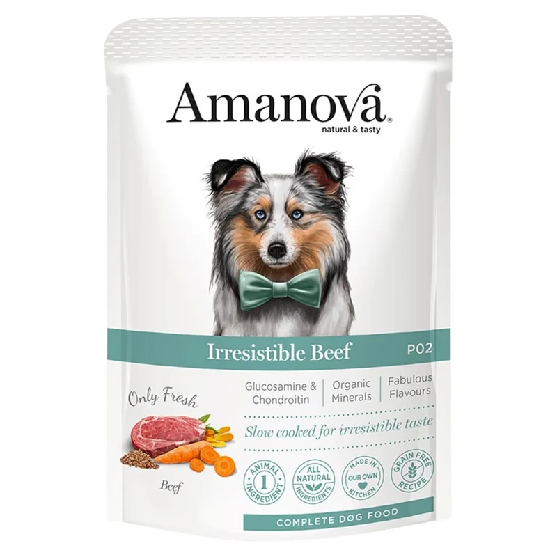 AMANOVA Cane Patè al Manzo 100gr