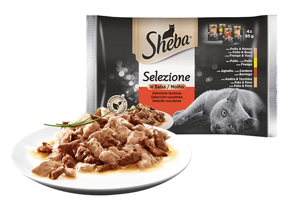 Sheba Umido Gatto Selezione Gustosa Salsa 4X85G