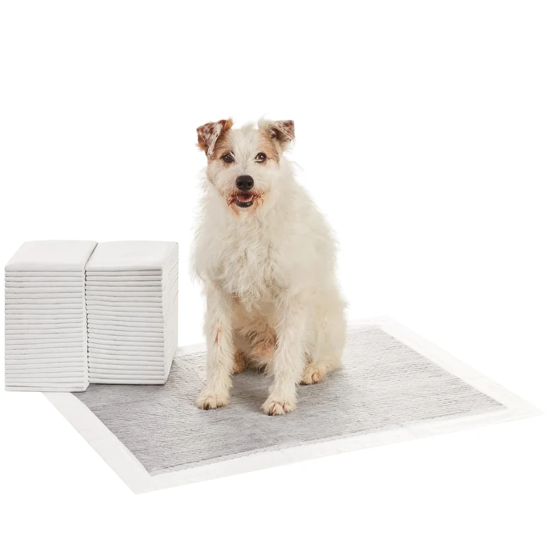 Amazon Basics Tappetini al carbone con controllo degli odori per l'addestramento di cani e cuccioli,prova di perdite con superficie ad asciugatura rapida,dimensione XL, confezione da 50, grigio