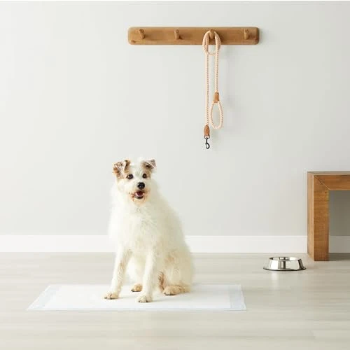 Amazon Basics, Tappetini per l'addestramento di cani e cuccioli, design a 5 strati a prova di perdite con superficie ad asciugatura rapida, dimensione XL, confezione da 40, Celeste