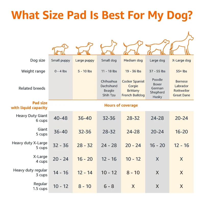 Amazon Basics, Tappetini per l'addestramento di cani e cuccioli, design a 5 strati a prova di perdite con superficie ad asciugatura rapida, dimensione XL, confezione da 40, Celeste